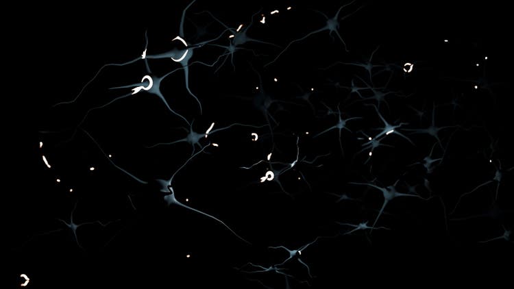 Nerve impulse