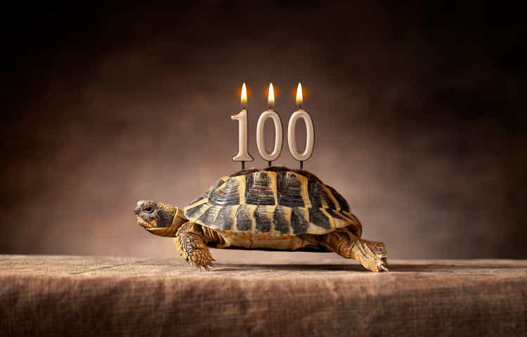 100 years. Happy birthday. Old turtle.