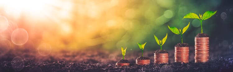 Investing Concept