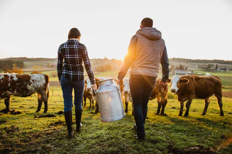 Young couple villagers with milk cans