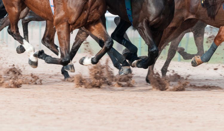 Horse Racing on Track with Copy Space