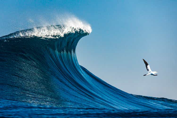 Large blue cresting wave standing tall in the open ocean on a sunny day