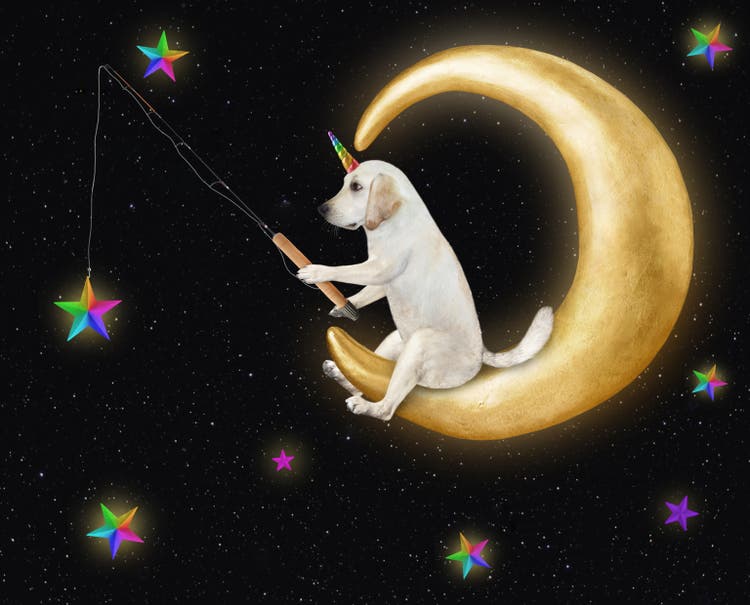 Dogicorn catching gold stars on moon