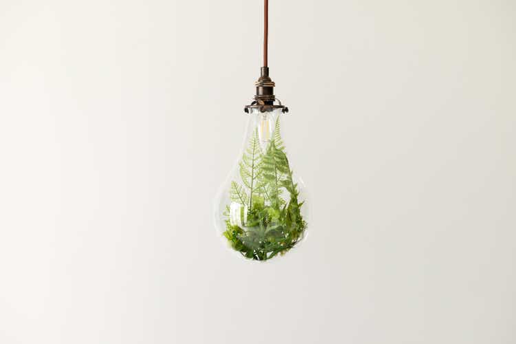 A photo of plants in a light bulb. Figurative visuals of green power, renewable energy and environmental protection.