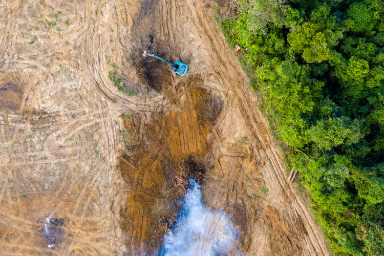 Birds eye view of tropical rainforest deforestation. An earth mover removes trees which are then burnt