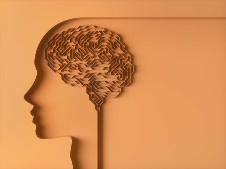 Brain Maze Cerebral Behavior