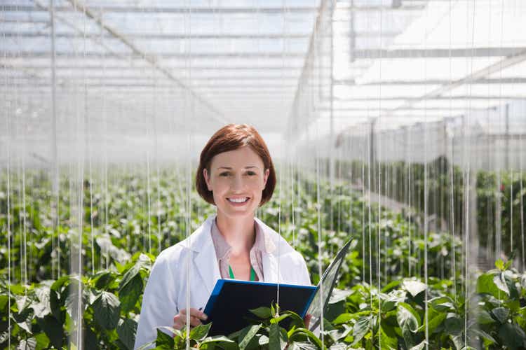 Scientist examining plants in greenhouse