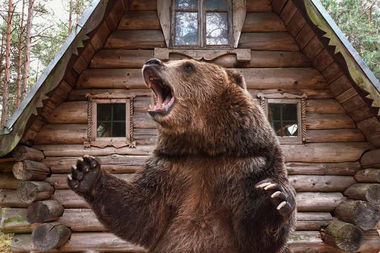 Brauner Grizzlybär weit offener Mund in der Nähe eines Holzhauses. Collage