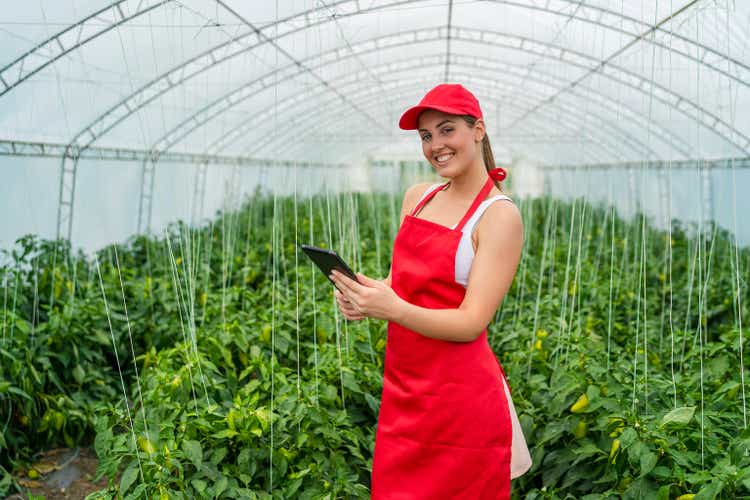 The young girl works in a vegetables greenhouse and takes care of the quality and condition of the plants
