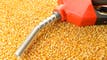 Bunge, CF Industries top S&P 500 as EPA proposes biofuel quota boost article thumbnail