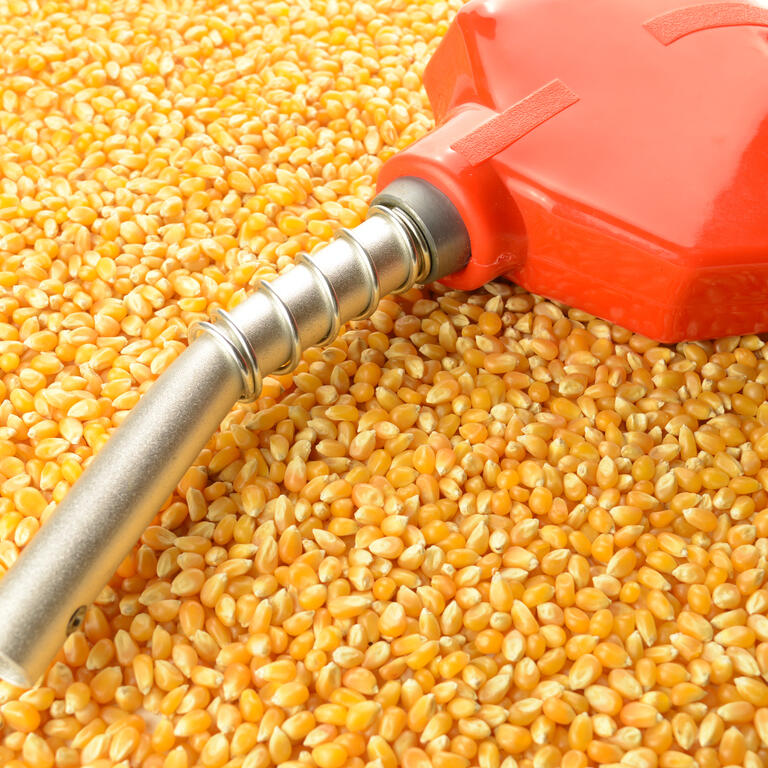 Corn Made Biofuel