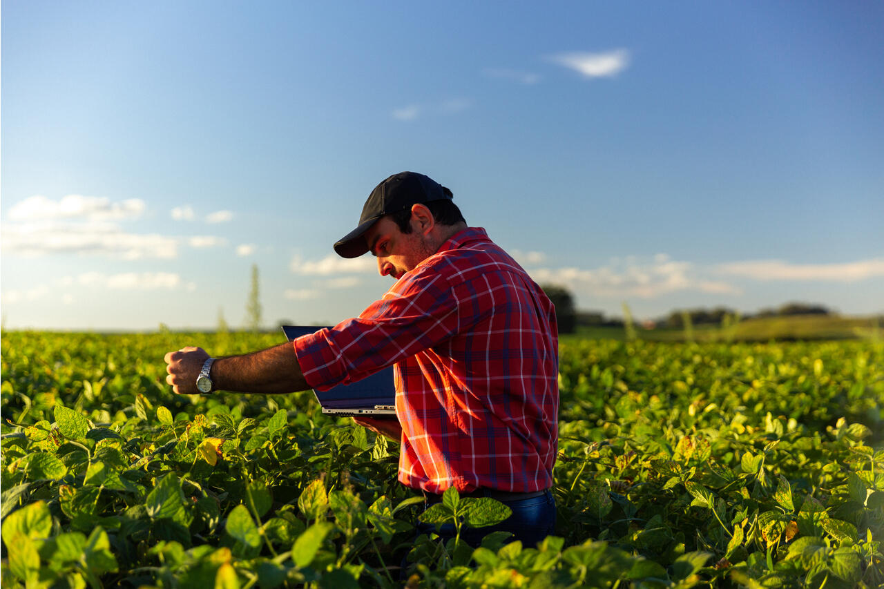 Farming in another