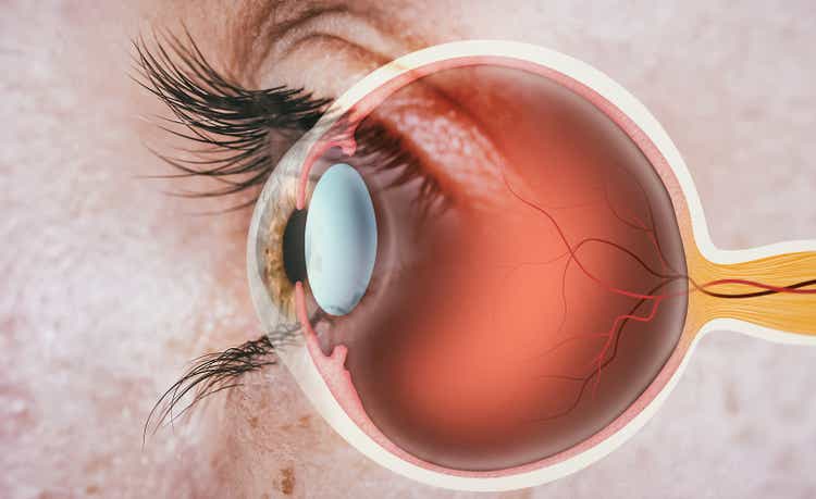 Structure of human eye.