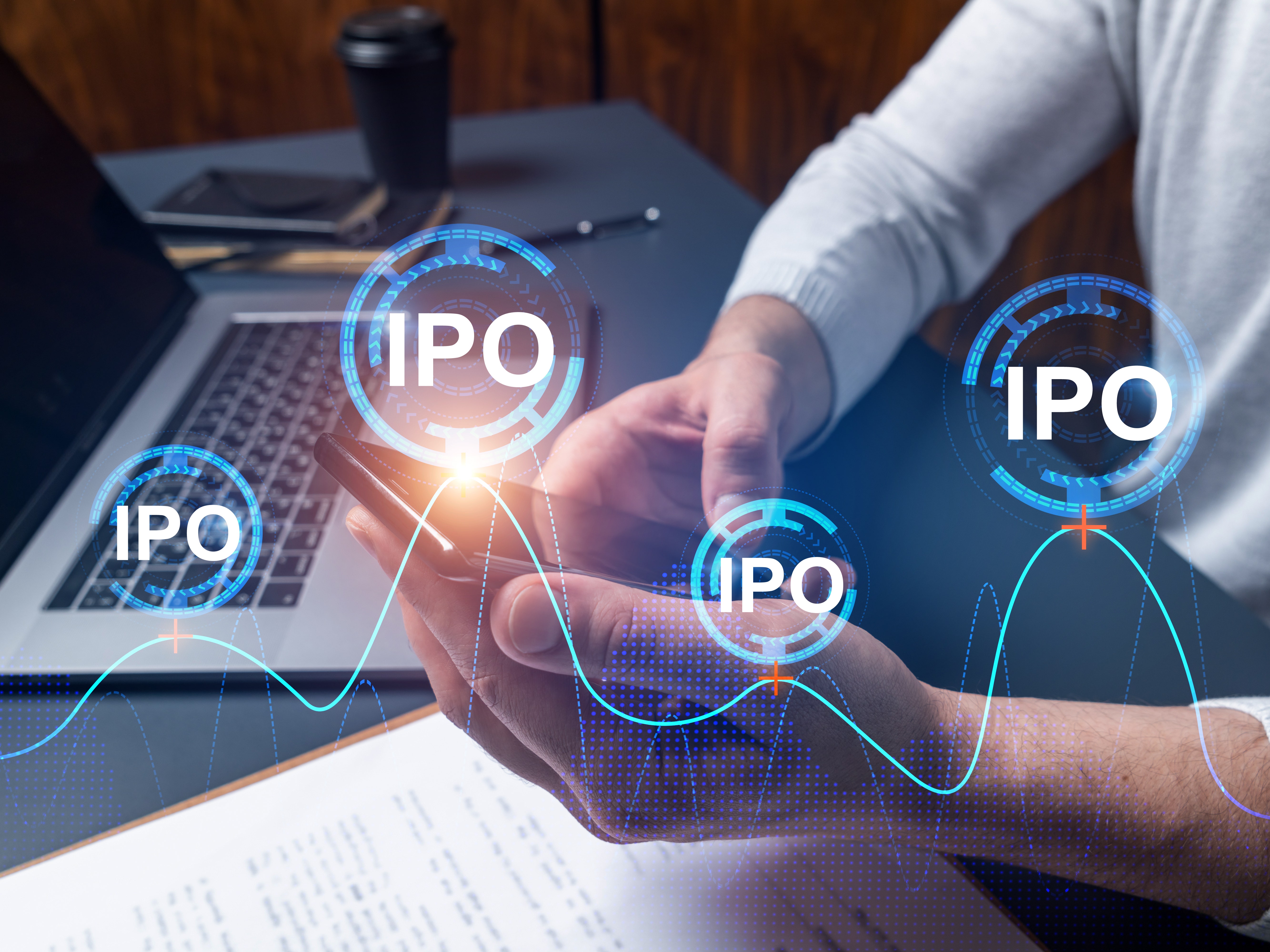 What is the smallest IPO?