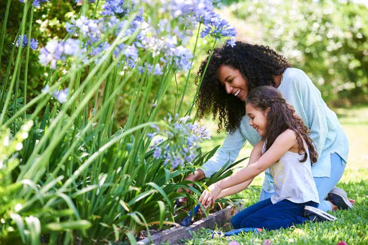 Mother and daughter planting flowers in garden