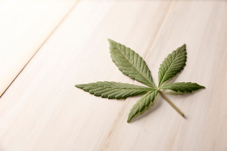 cannabis leaf on white wood