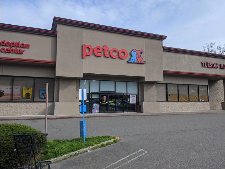 petco stock