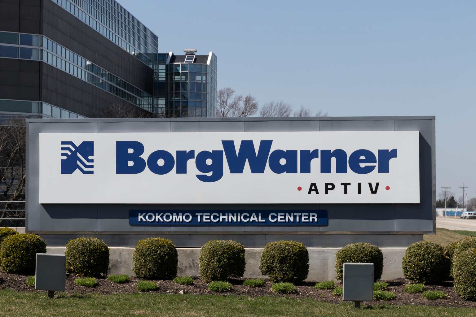 Borg Warner Stock