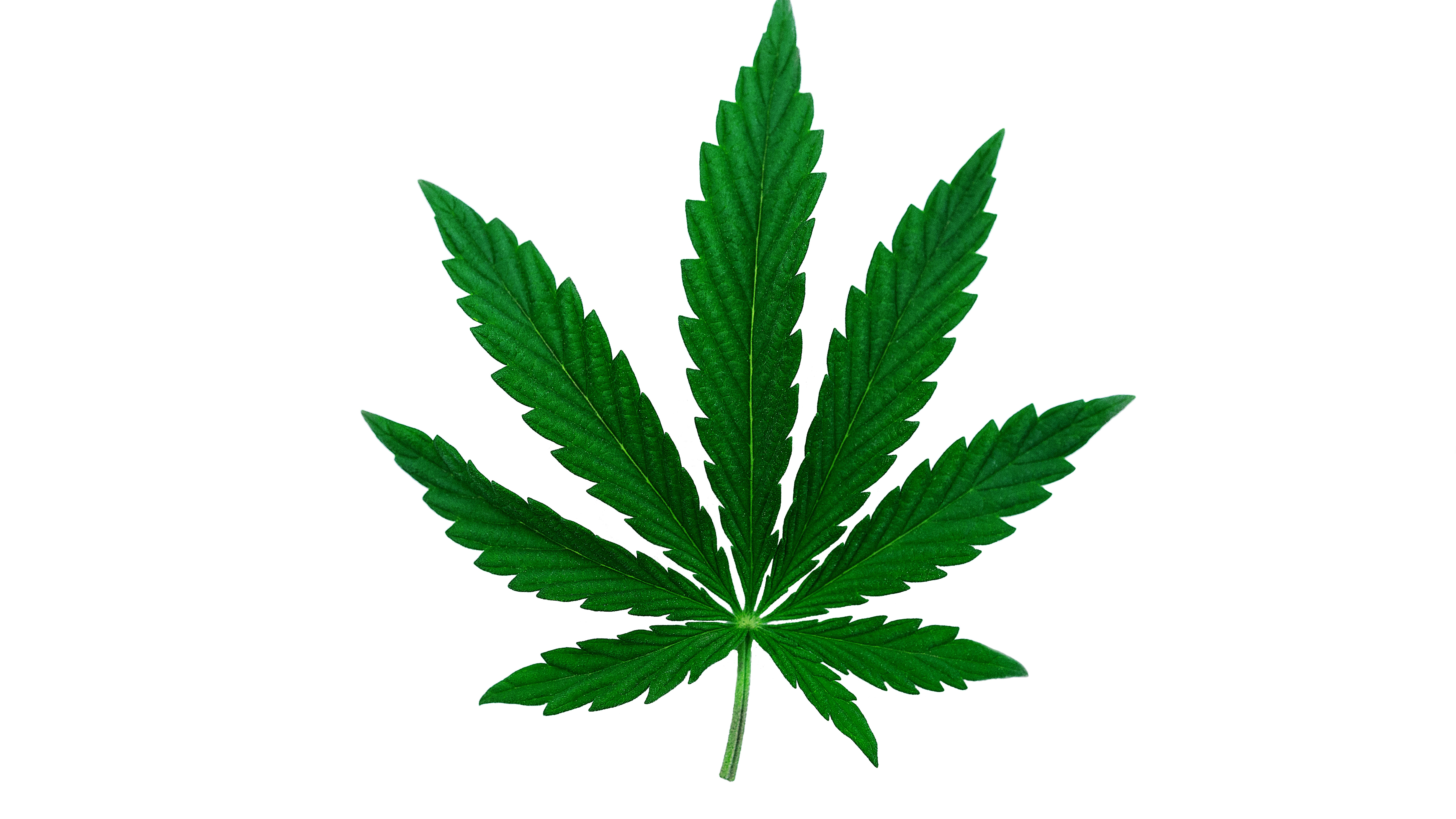Curaleaf (OTCMKTS:CURLF): Big Cannabis | Seeking Alpha