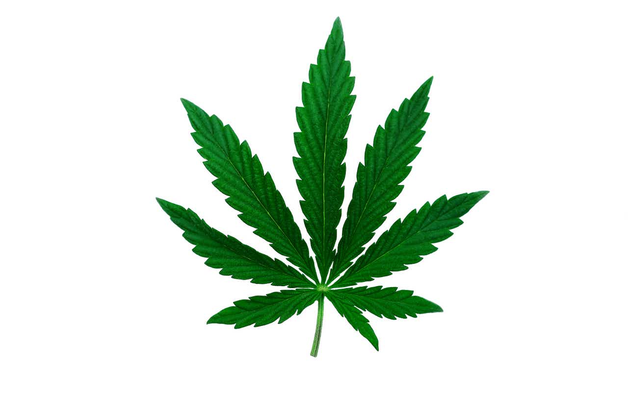 Curaleaf (otcmkts:curlf): Big Cannabis 