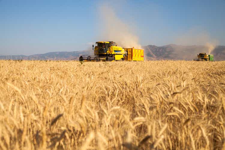 Harvester combine harvesting wheat on agricultural field on sunny summer day