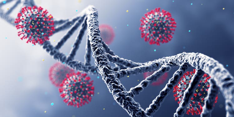 DNA Virus Wide
