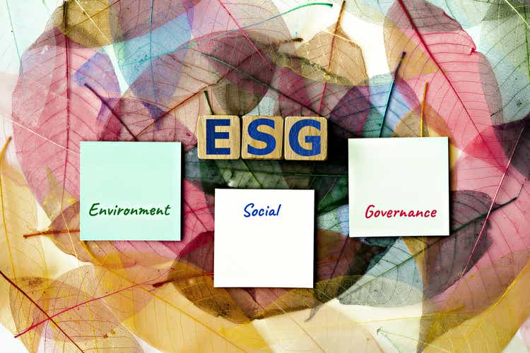 photo on ESG (Environmental, Social, and Corporate Governance) theme. wooden cubes with the acronym "ESG", and sticky notes, on the background of skeleton magnolia leaf
