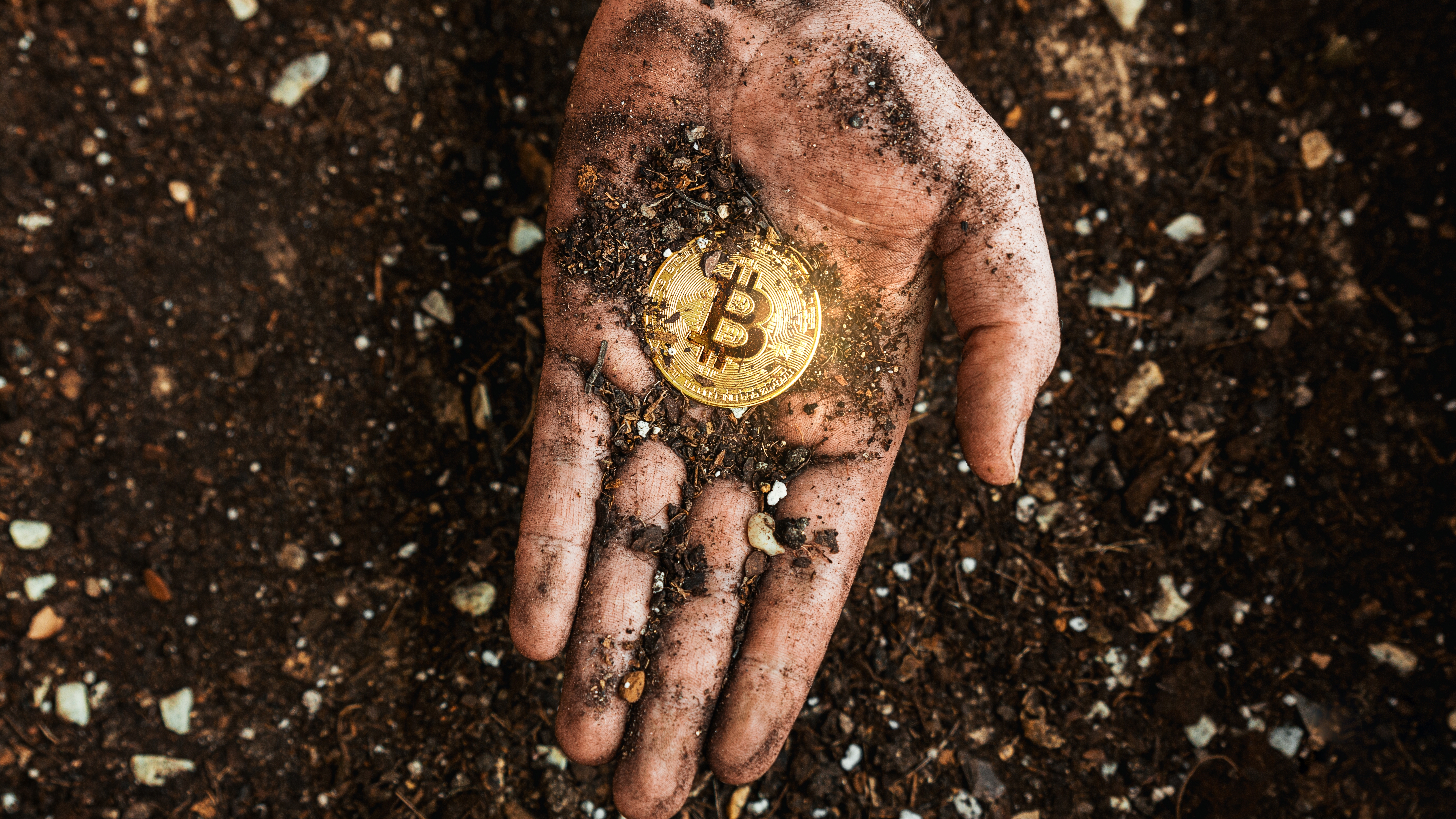 Applied Digital Remains A Good Bet In Crypto Mining (NASDAQ:APLD) | Seeking  Alpha