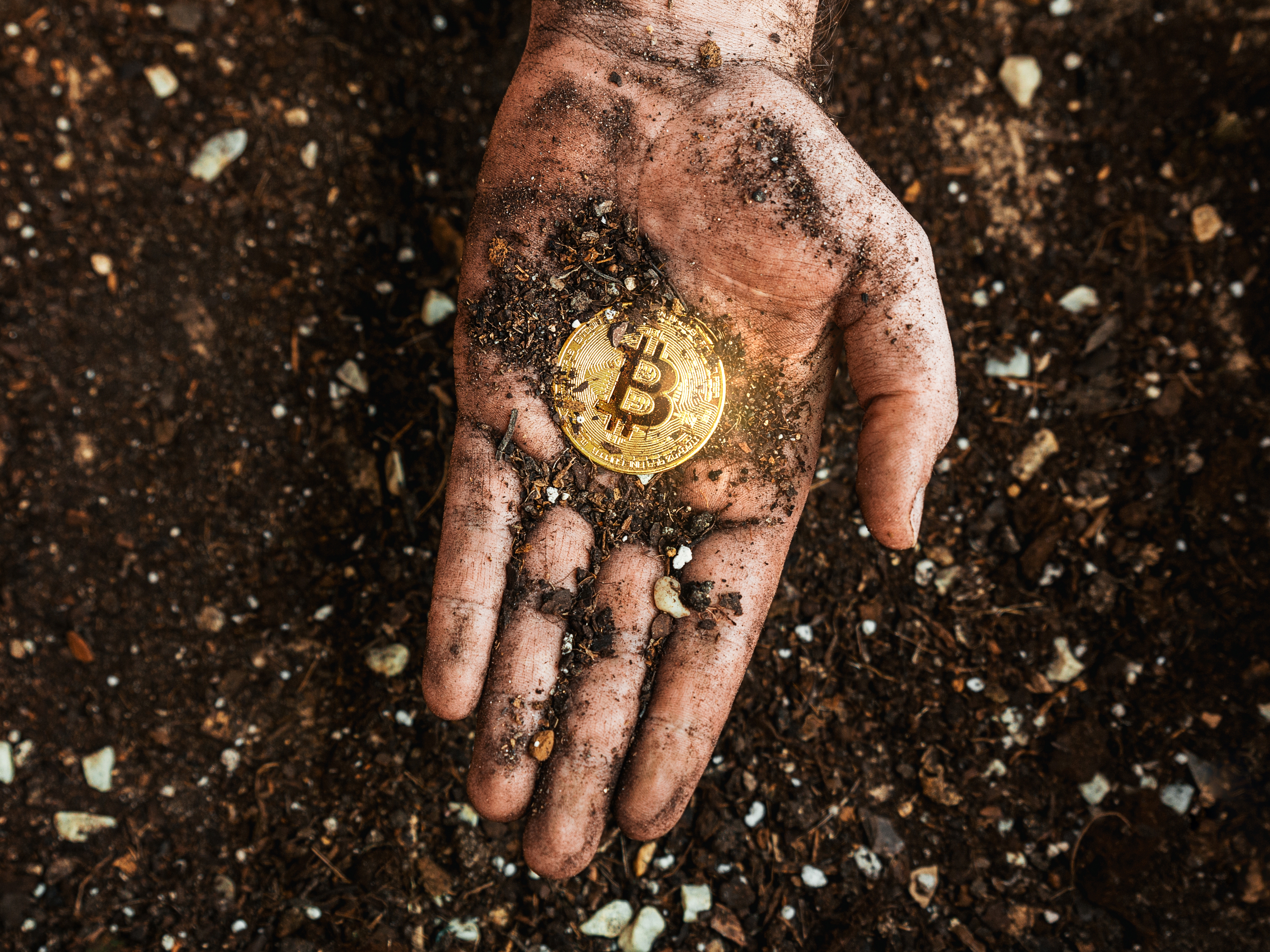 Applied Digital Remains A Good Bet In Crypto Mining (NASDAQ:APLD) | Seeking  Alpha
