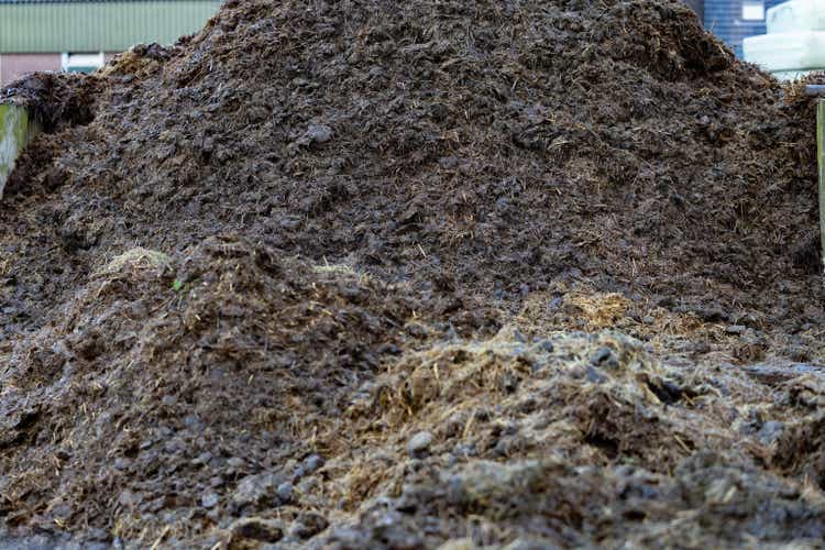 Pile of raw horse manure in the yard. Close-up of pile of manure in the countryside. Detail of heap of manure in field in the yard. Traditional rural scene