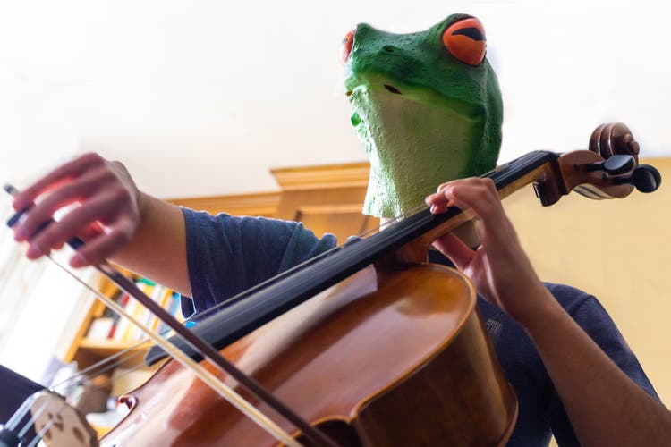 person with frog mask playing a score on the cello and enjoying the movement of the bow on the strings with selective focus