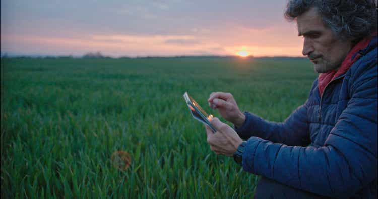 Farmer with tablet examining young wheat plants in the middle of a wheat field. Walking and checking out the plants, using digital tablet. Agricultural Occupation.