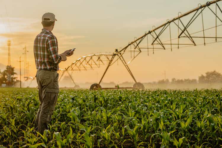 Man standing on corn field and using mobile phone