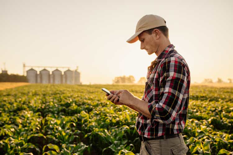 Farmer using mobile phone on corn field