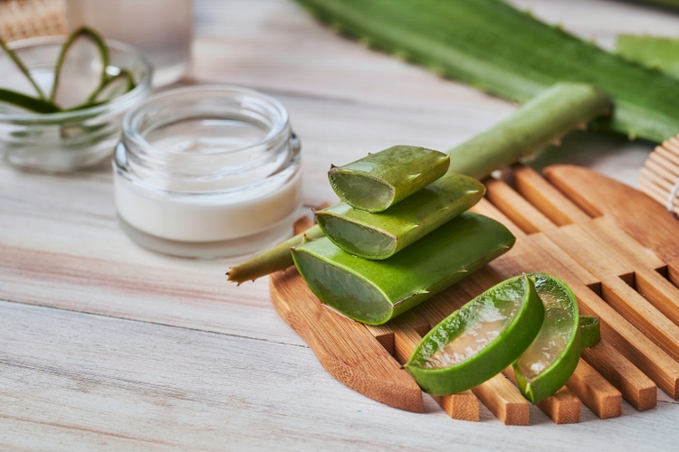 Teladoc Stock: Let's Apply Aloe Vera On The Burns (NYSE:TDOC) - Vimarsana News