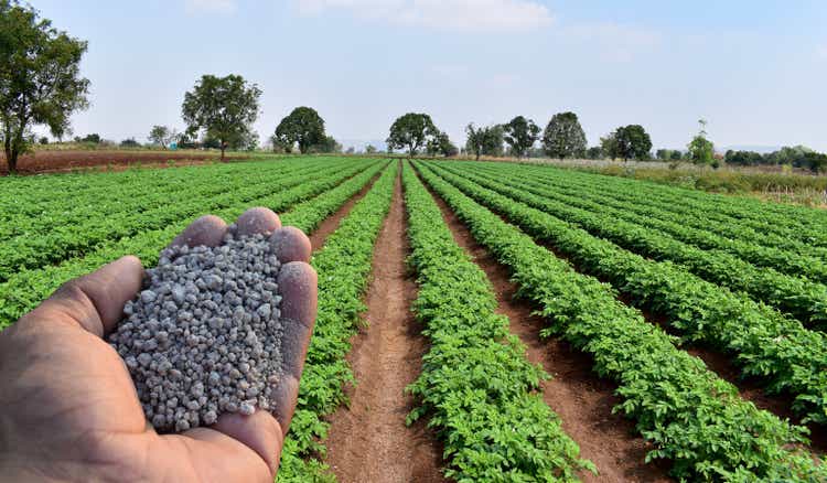 Hand holding agriculture fertilizer or fertiliser granules with background of farm or field.