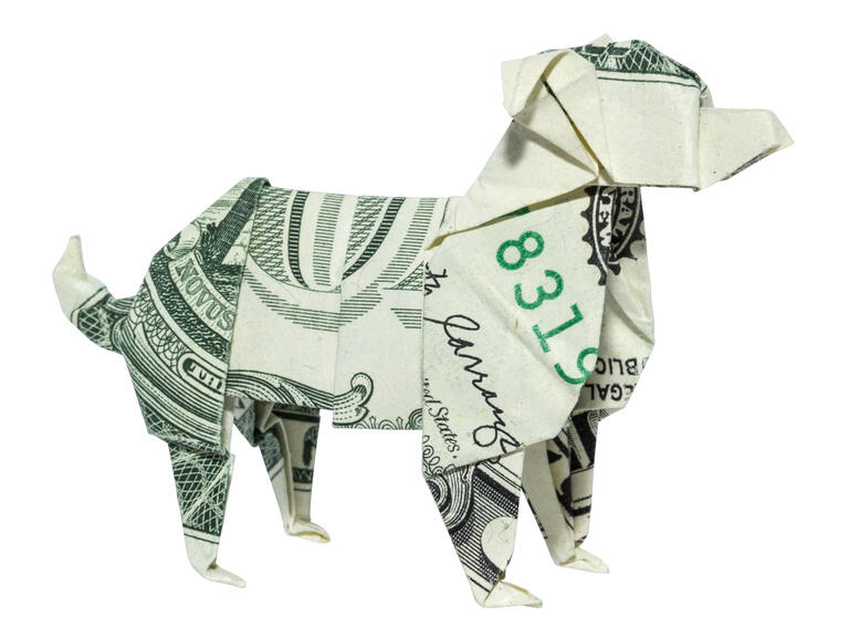 Money Origami Australian Shepherd Dog Folded with Real One Dollar Bill Isolated on White Background