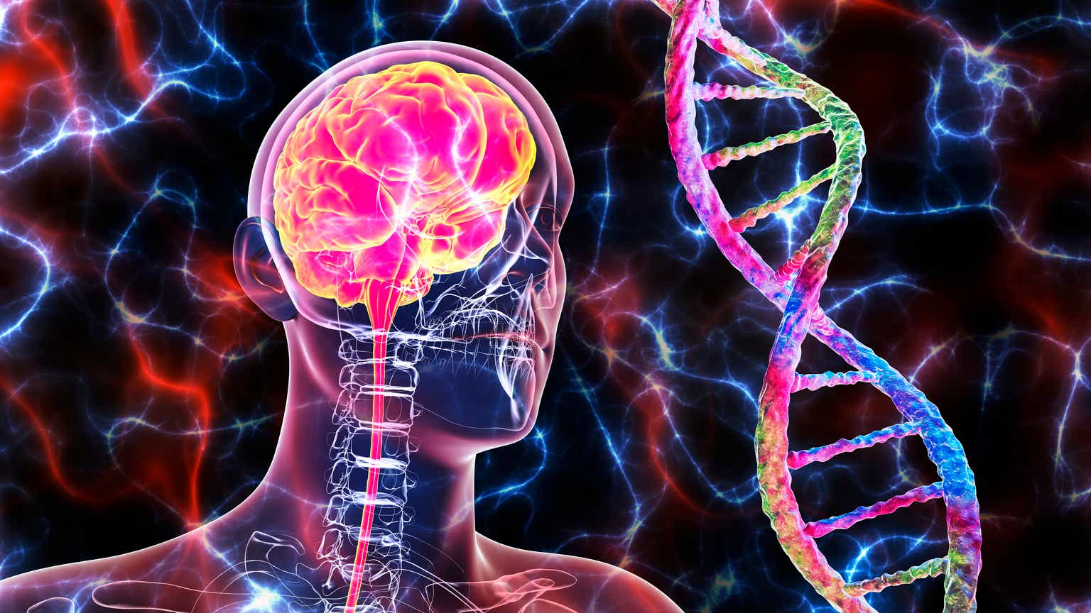 Наследственные заболевания мозга. ДНК мозга человека. Генетической поражение мозга. Нейрогенетика картинки. Нейроны ДНК.