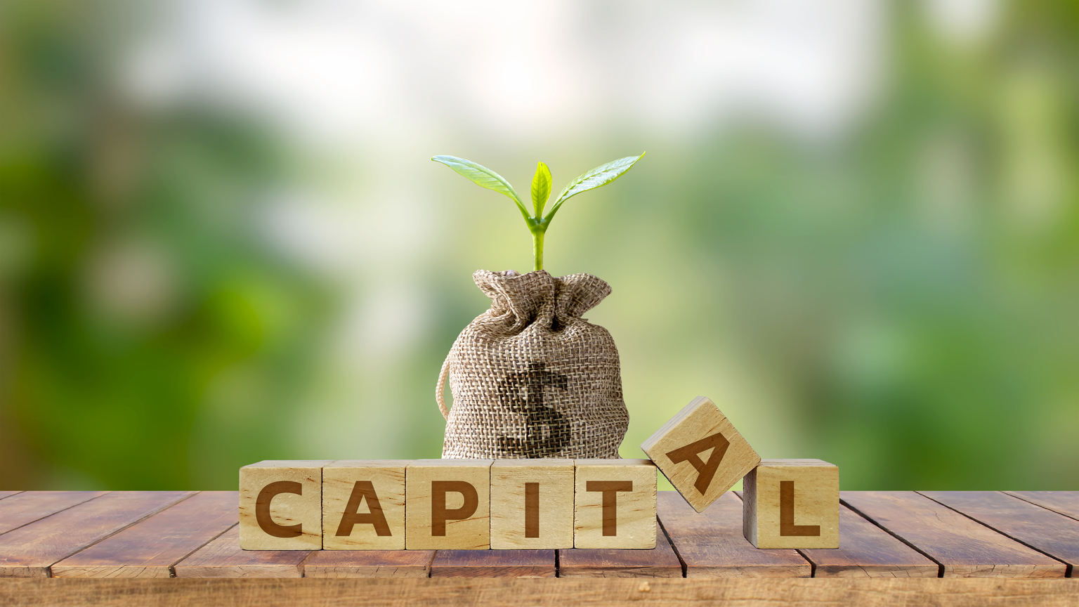 seekingalpha.com - Polen Capital - Polen 5Perspectives Small-Mid Growth Q3 2026 Portfolio Update