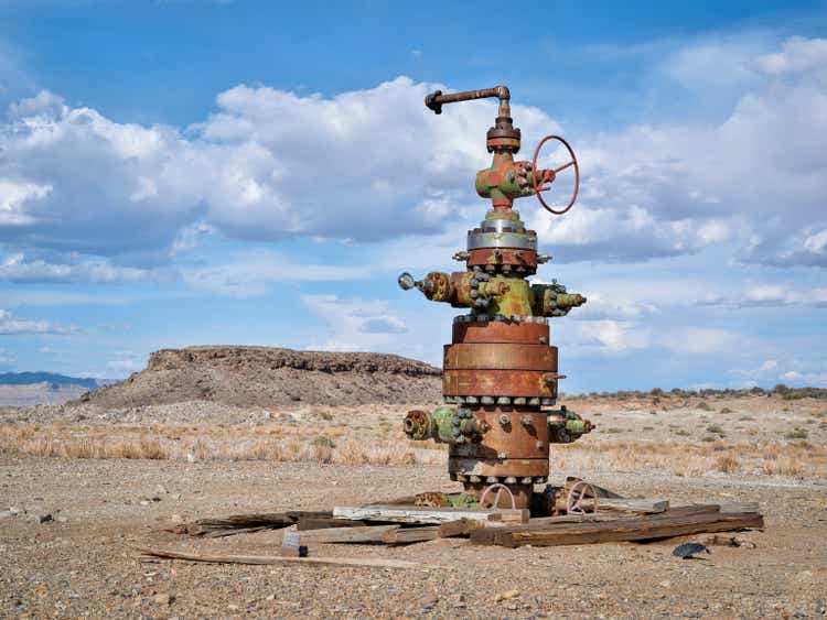 head of oil well with numerous valves
