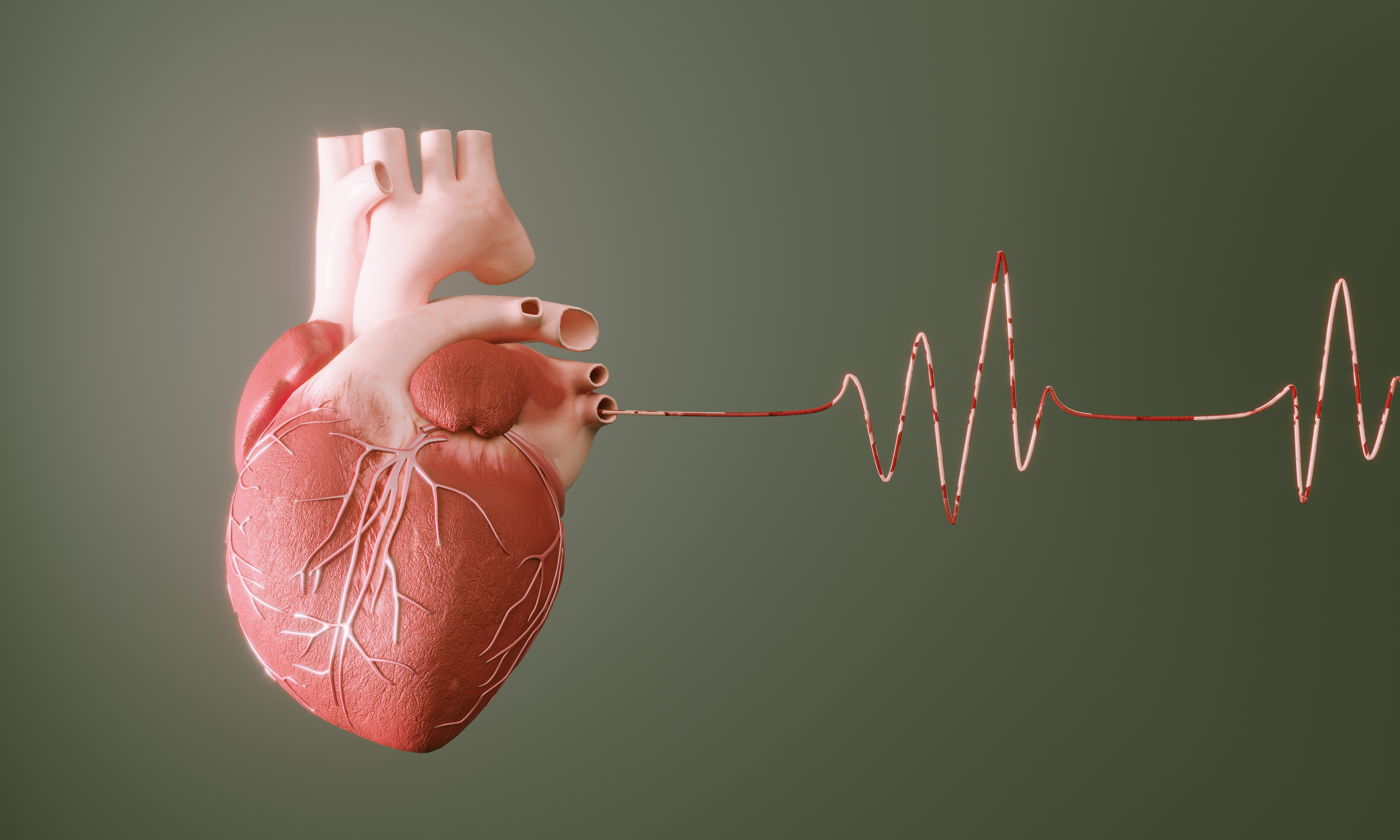 Cytokinetics Phase 3 Trial Of Aficamten For Heart Disease Opens ...