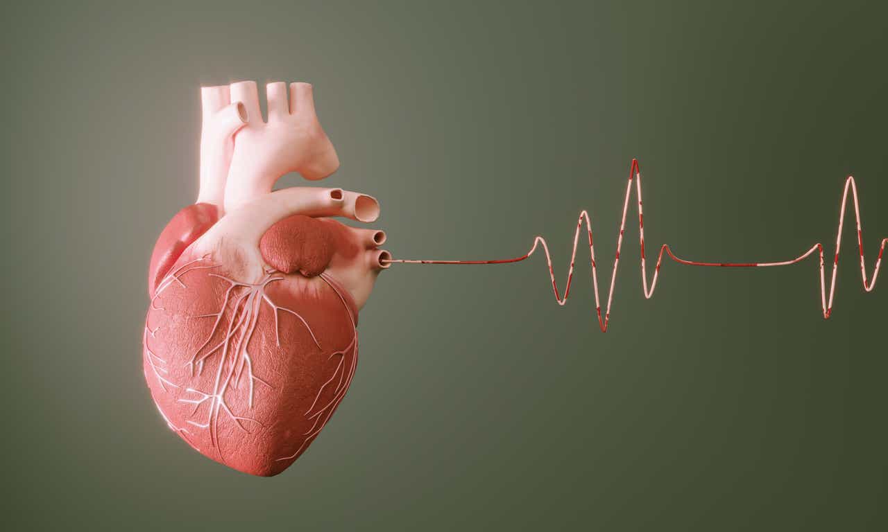 My Heart Monitor – Philips BioTel Heart