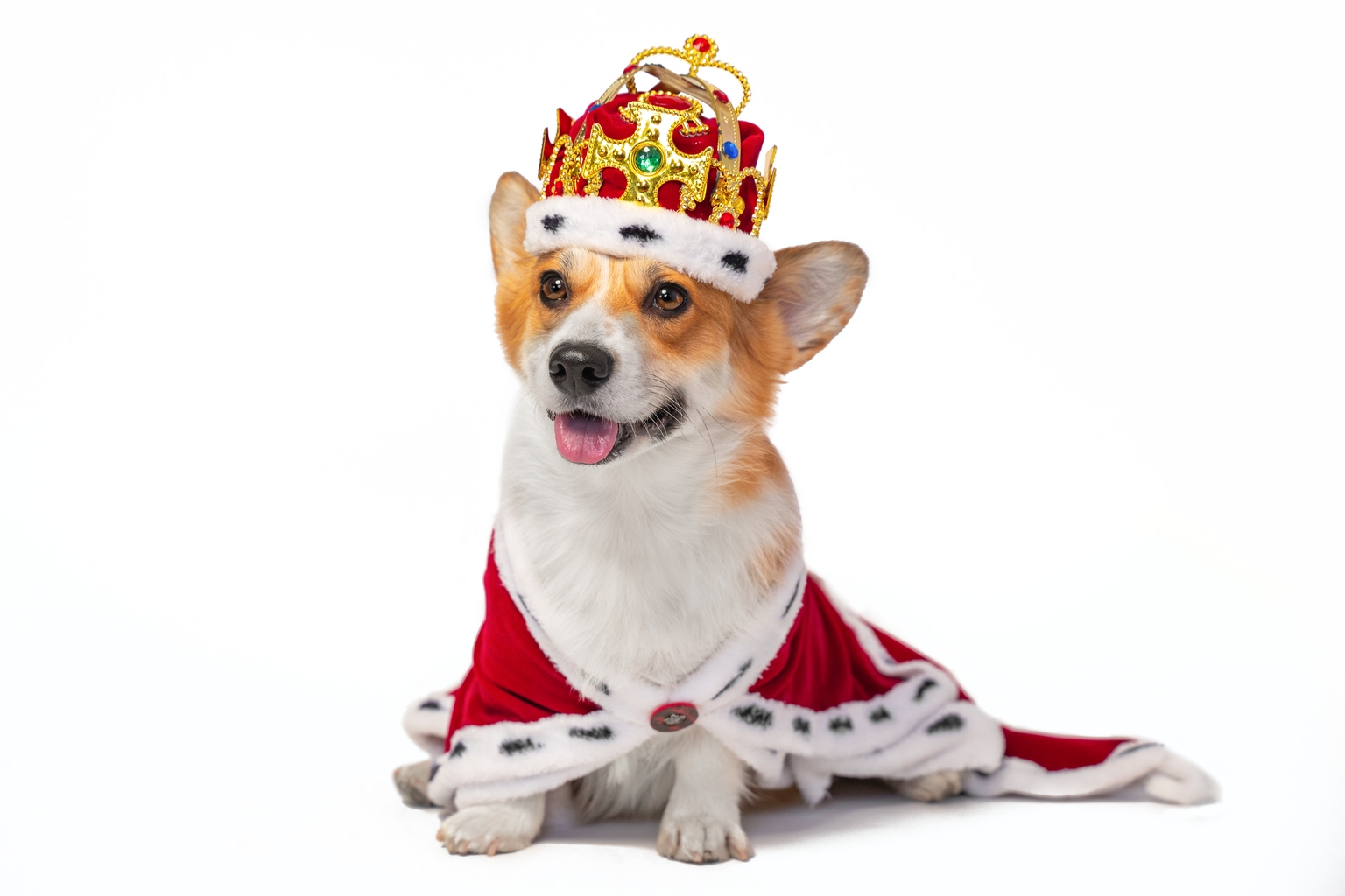 January's 54 Dividend Kings: Buy 8, Watch 5