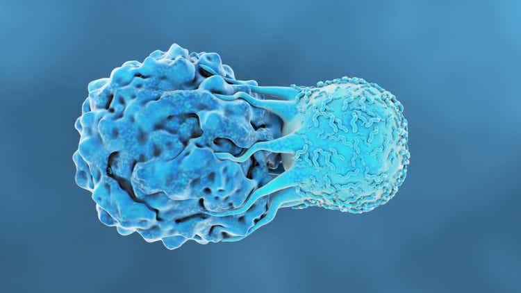 T-Cell Attacks Cancer Cell