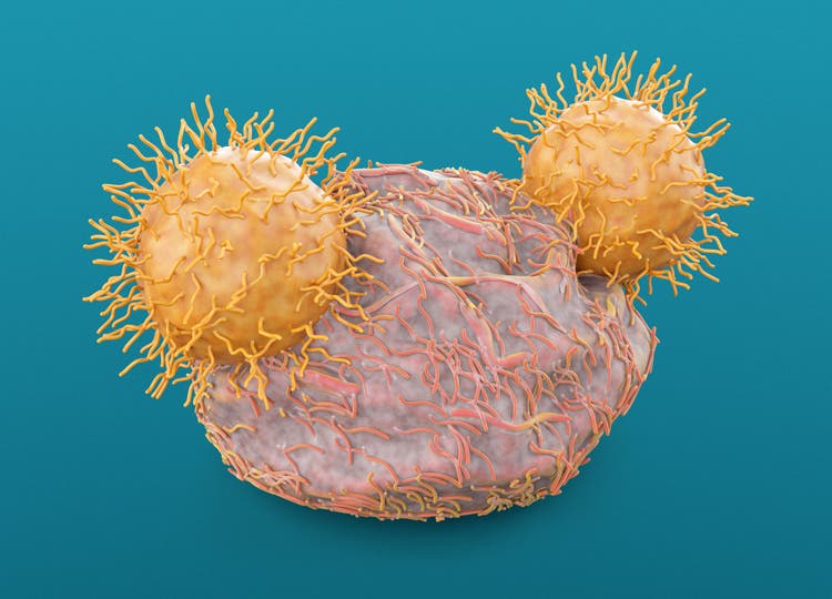 CAR T-Cell Immunotherapy