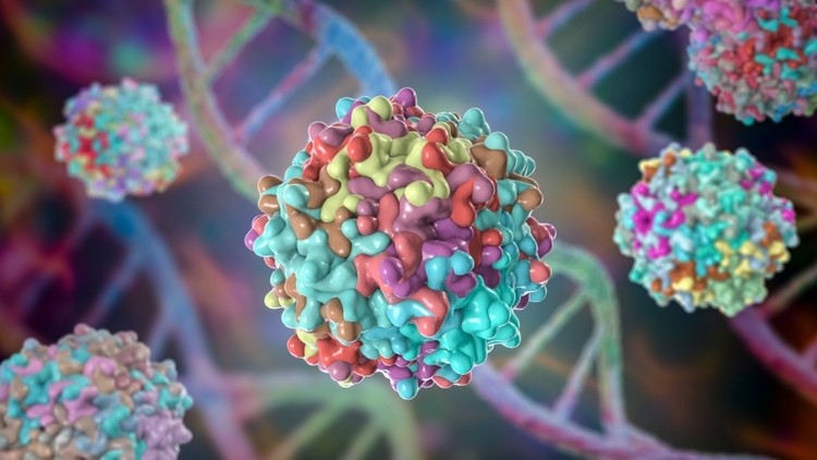 Adeno-associated viruses, 3D illustration