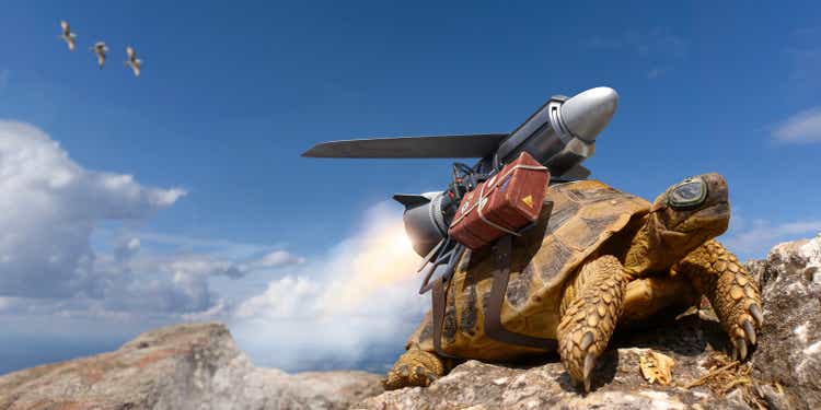 Tortoise In Goggles With JetPack and Luggage Strapped To His Shell About To Take Off On Vacation