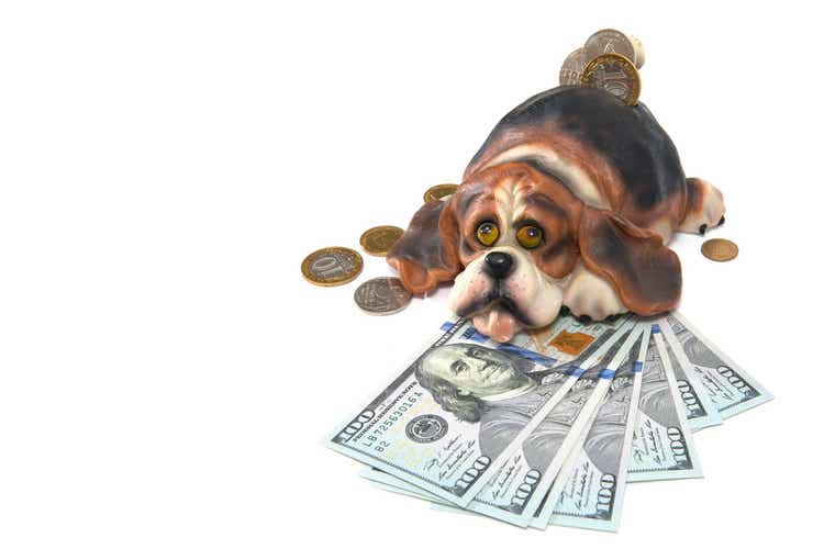 Piggy bank dog, and US dollars on isolated white background
