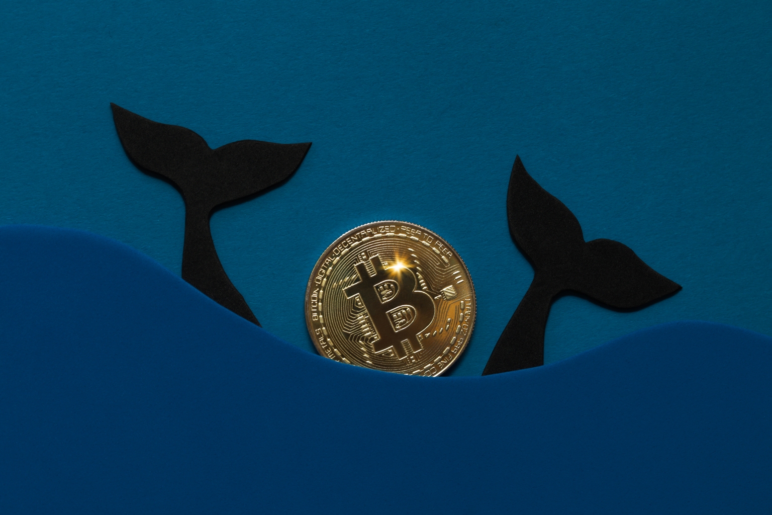 Bitcoin Under Pressure: Whale Sell-Offs, Bearish Technicals, and Macro Risks Unfold - News Directory 3