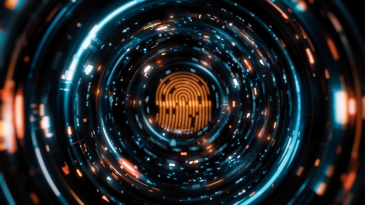Digital fingerprint scanning verification process